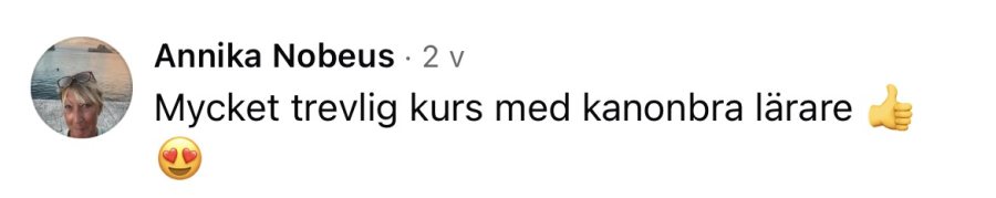 Omdöme från tidigare kursdeltagare